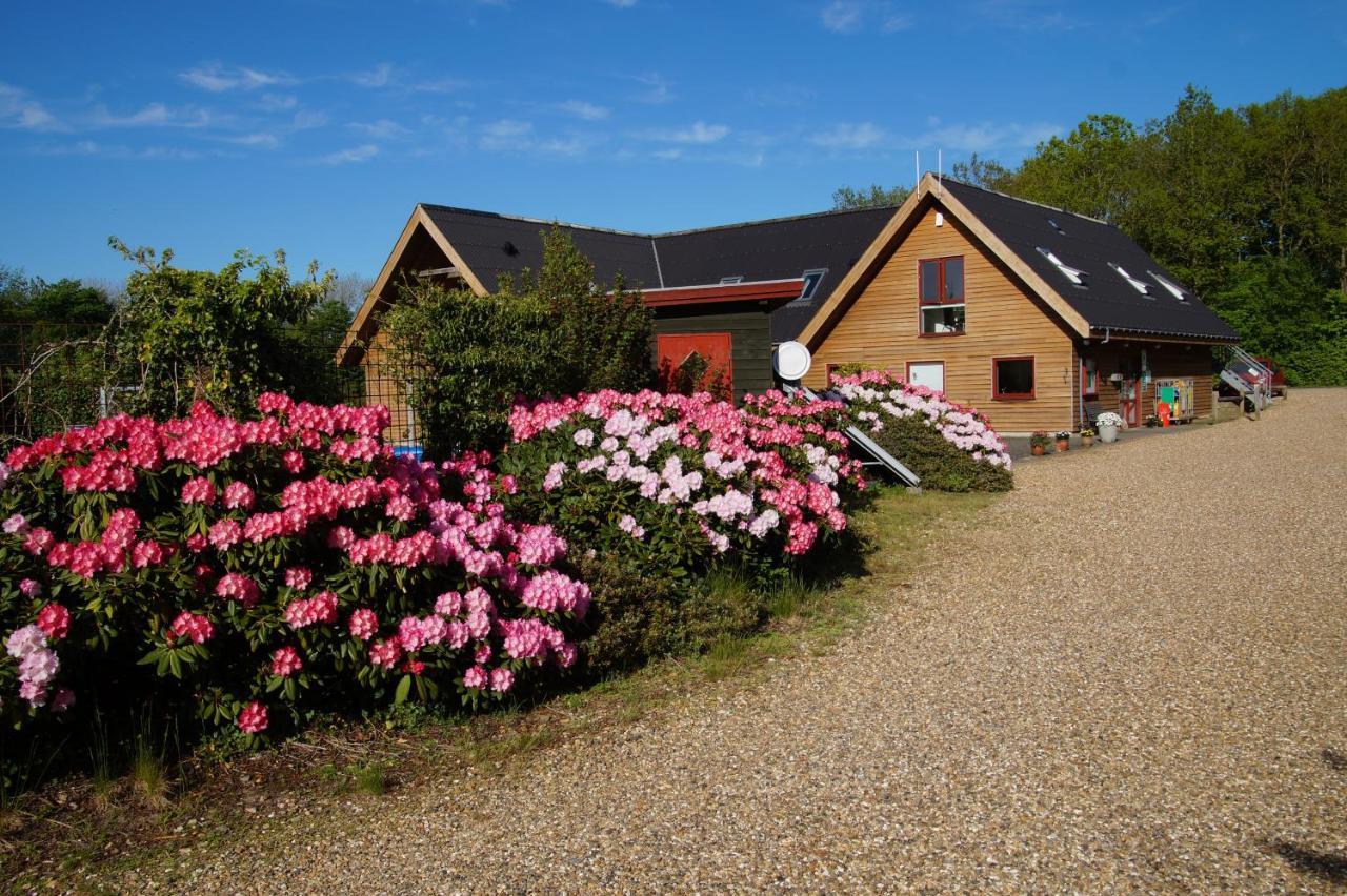 Campingplatz Hedelandets