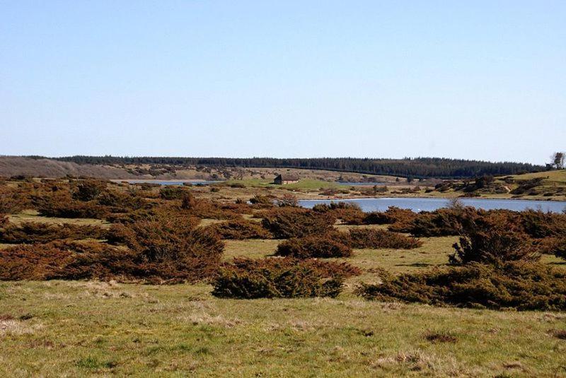 Campingplatz Hedelandets Sevel